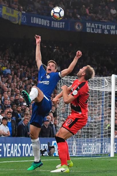 费悄然转变 费悄然转变