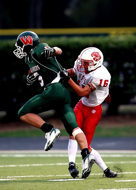 型场馆体育 型场馆体育