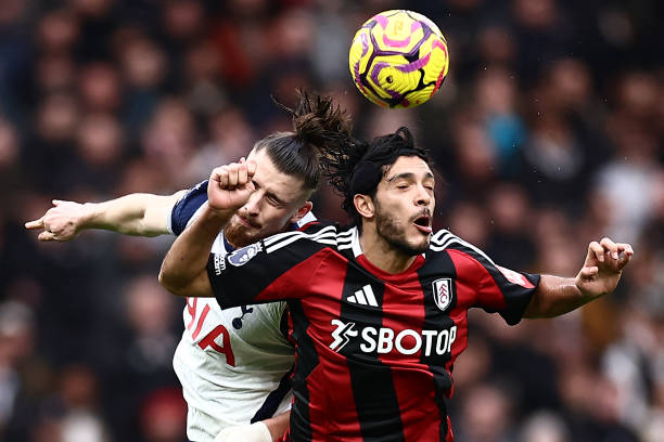 沉穩的典型 沉穩的典型